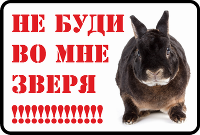 Не буди во мне зверя